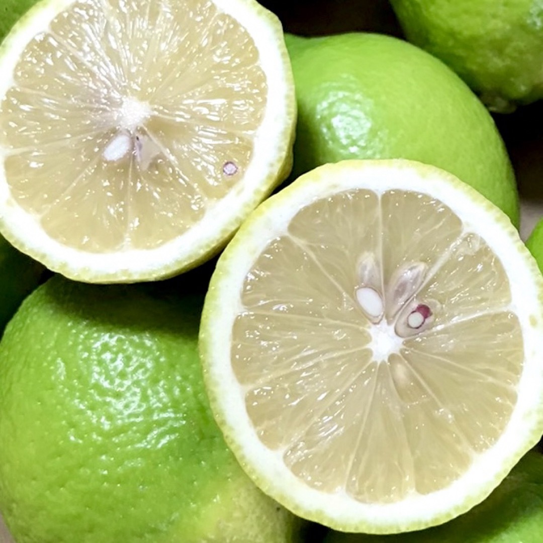 愛媛県産 農薬不使用 グリーンレモン12個 ①国産レモン 果物 国産 食品/飲料/酒の食品(フルーツ)の商品写真