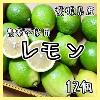 愛媛県産 農薬不使用 グリーンレモン12個 ①国産レモン 果物 国産(フルーツ)