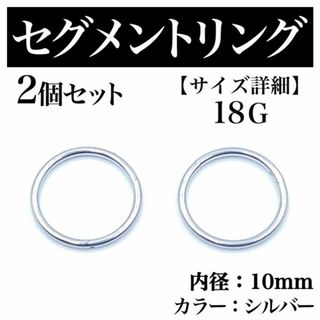 セグメントリング 18G 2本 フープピアス ボディピアス シルバー BP171(ピアス(片耳用))