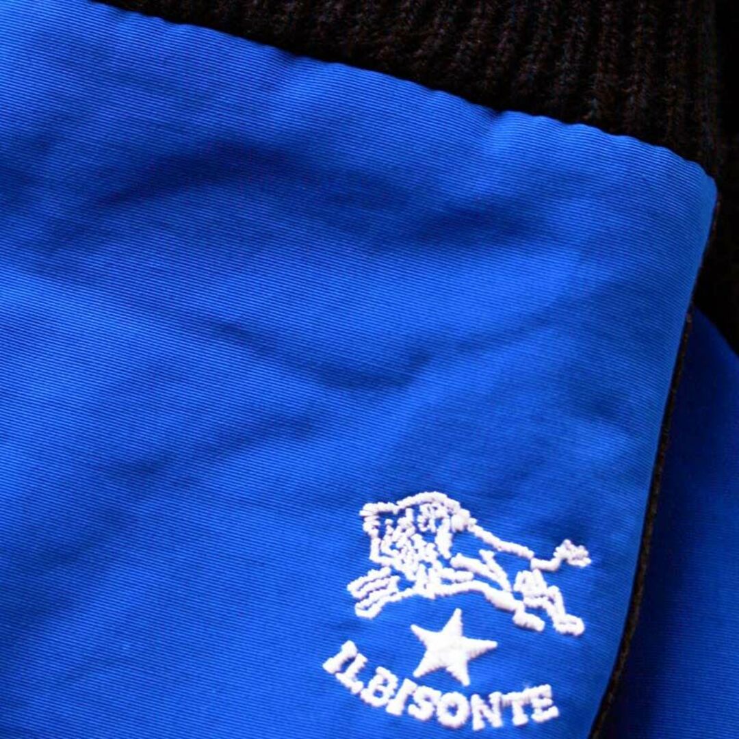 IL BISONTE(イルビゾンテ)の新品 レディ Fサイズ スマホ ブルー タッチグローブ 裏起 イルビゾンテ 手袋 レディースのファッション小物(手袋)の商品写真
