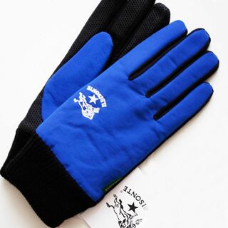 イルビゾンテ(IL BISONTE)の新品 レディ Fサイズ スマホ ブルー タッチグローブ 裏起 イルビゾンテ 手袋(手袋)