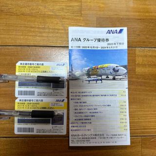 エーエヌエー(ゼンニッポンクウユ)(ANA(全日本空輸))のANA 株主優待券(航空券)