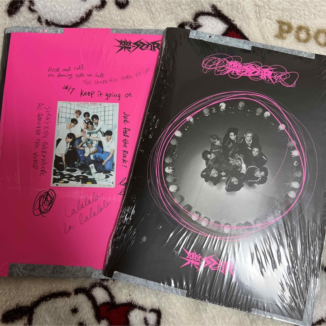 stray kids スキズ 樂 STAR アルバム 開封済みセット エンタメ/ホビーのCD(K-POP/アジア)の商品写真