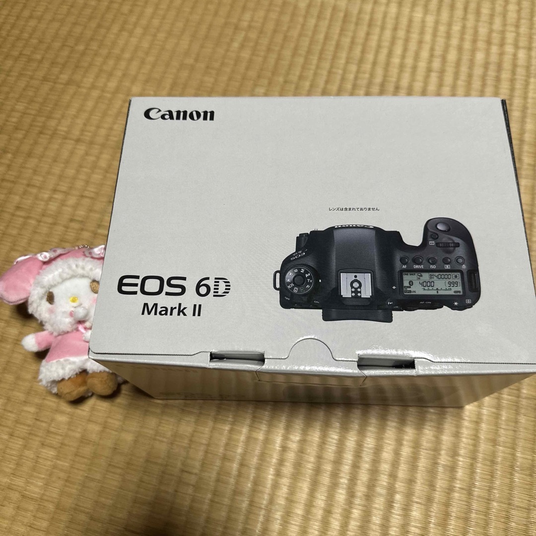 EOS6dmark2カメラ