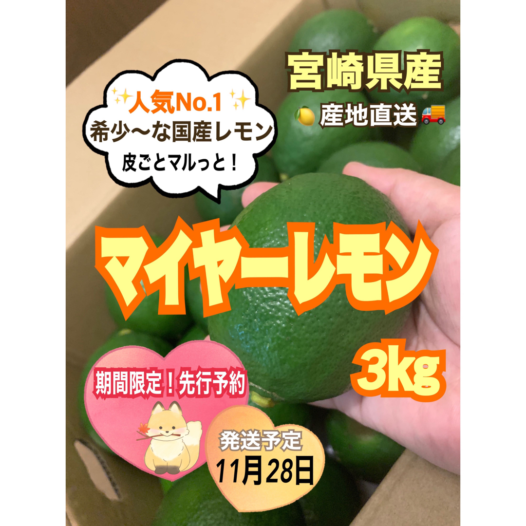 【期間限定❣️先行予約】マイヤーレモン3㎏/レモン　国産レモン　みかん　果物 食品/飲料/酒の食品(フルーツ)の商品写真