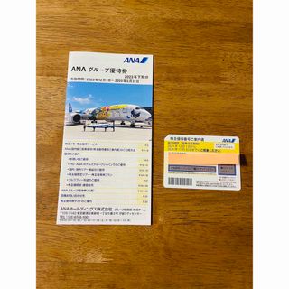 エーエヌエー(ゼンニッポンクウユ)(ANA(全日本空輸))のANA 株主優待券(航空券)