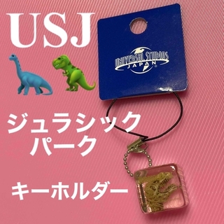 ユニバーサルスタジオジャパン(USJ)の新品　USJ   ジュラシックパーク　キーホルダー(キーホルダー)