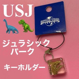 ユニバーサルスタジオジャパン(USJ)の新品　USJ   ジュラシックパーク　キーホルダー(キーホルダー)