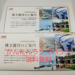 日本駐車場開発 株主優待券 2セット(スキー場)