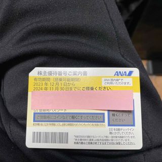 エーエヌエー(ゼンニッポンクウユ)(ANA(全日本空輸))のANA 株主優待(航空券)