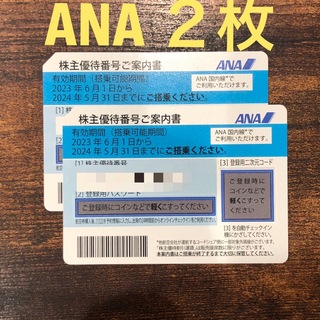 ANA 全日空　株主優待券 2枚　(その他)