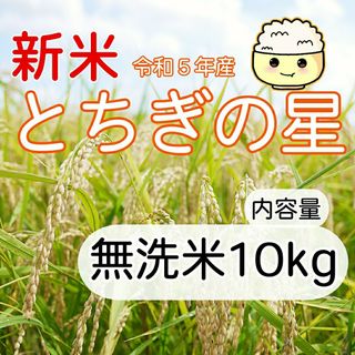 新米 とちぎの星 無洗米 10kg ご購入後に精米します！(米/穀物)