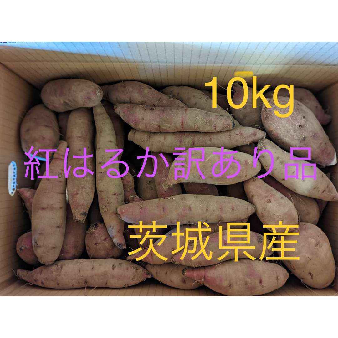 さつまいも　べにはるか　10kg  訳あり品　茨城県産 食品/飲料/酒の食品(野菜)の商品写真