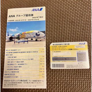 エーエヌエー(ゼンニッポンクウユ)(ANA(全日本空輸))のANA 株主優待券 (2023年下期分)(航空券)