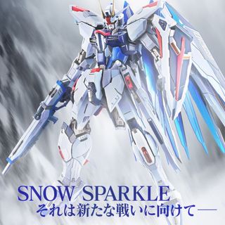 バンダイ(BANDAI)のMETAL BUILD フリーダムガンダム CONCEPT 2 SNOW SPA(アニメ/ゲーム)