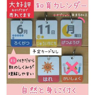 日めくりカレンダー 予定カードなし(カレンダー/スケジュール)