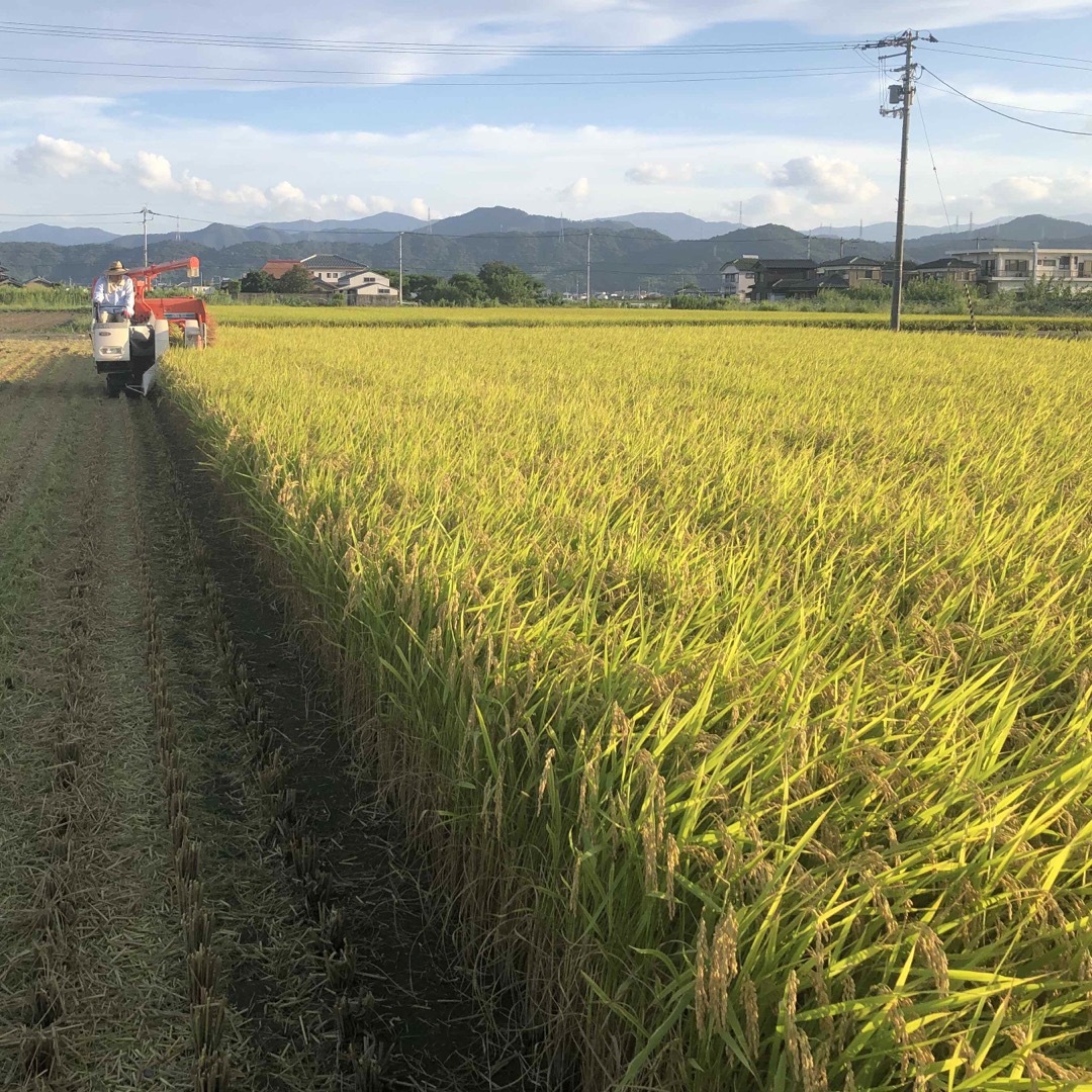 令和5年産  低農薬　あきさかり　玄米10キロ 食品/飲料/酒の食品(米/穀物)の商品写真