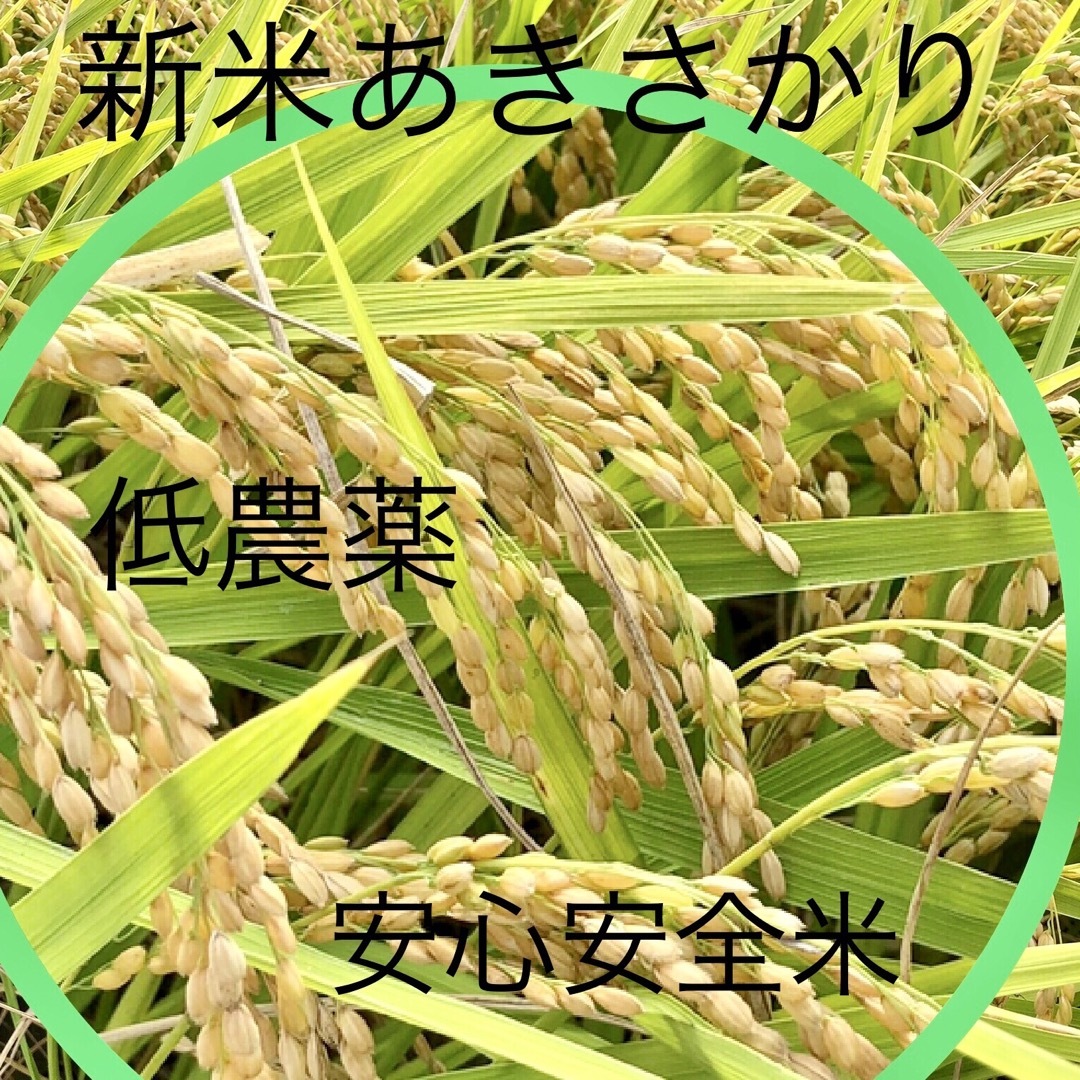 令和5年産  低農薬　あきさかり　玄米10キロ 食品/飲料/酒の食品(米/穀物)の商品写真