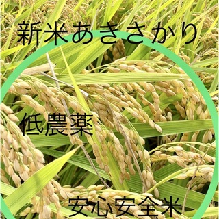 令和5年産  低農薬　あきさかり　玄米10キロ(米/穀物)