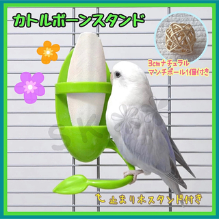 鳥用品 カトルボーン スタンド ホルダー (無着色マンチボール1個付き)(鳥)