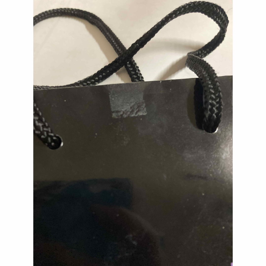 ANNA SUI(アナスイ)のANNA SUI　アナスイ　紙袋 レディースのバッグ(ショップ袋)の商品写真