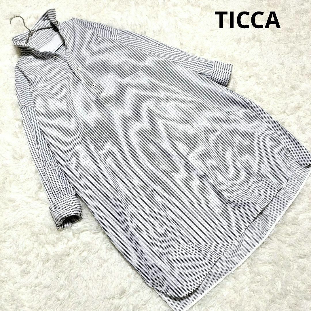 TICCA ティッカ スキッパー 長袖シャツ