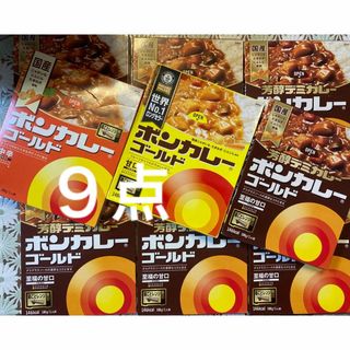 大塚食品 - ボンカレー　ゴールド　３種9点　中辛　甘口　【レア→】至福の甘口　デミカレー