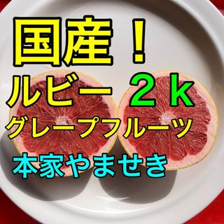 ⭐️本家やませき、新鮮！スタールビー、グレープフルーツ、２ｋ gram(フルーツ)