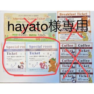 ダイワ(DAIWA)のhayato様専用　特別客室アップチャージ無料チケット2枚のみ(宿泊券)