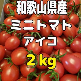 和歌山県産 ミニトマト アイコ ２kg(野菜)