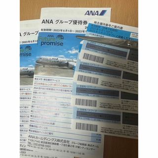 ana株主優待券(航空券)