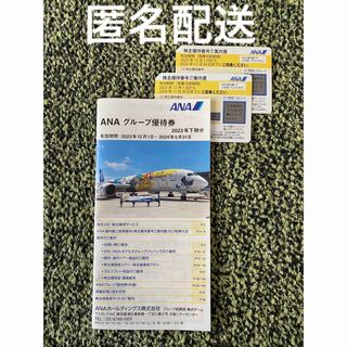 エーエヌエー(ゼンニッポンクウユ)(ANA(全日本空輸))のANA 株主優待  グループ優待券 (その他)