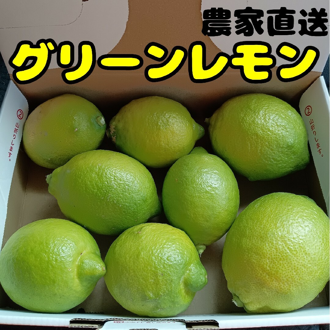 【限定販売】国産グリーンレモン 農薬不使用 ゆうパケット発送 食品/飲料/酒の食品(フルーツ)の商品写真