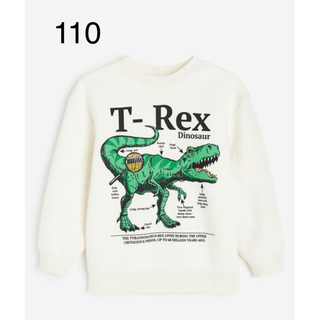 エイチアンドエム(H&M)の《新作》新品　恐竜　ティラノサウルス　スウェットシャツ　110-115(ジャケット/上着)