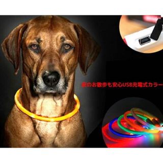 美品/中型犬(50cm)夜間光る首輪カラーUSB充電式LEDライト(リード/首輪)