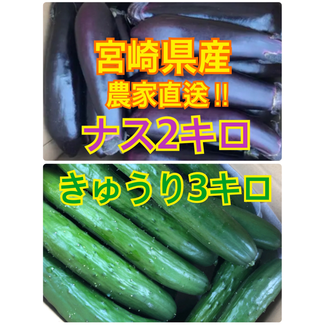 野菜　なす　きゅうり　宮崎県産 食品/飲料/酒の食品(野菜)の商品写真
