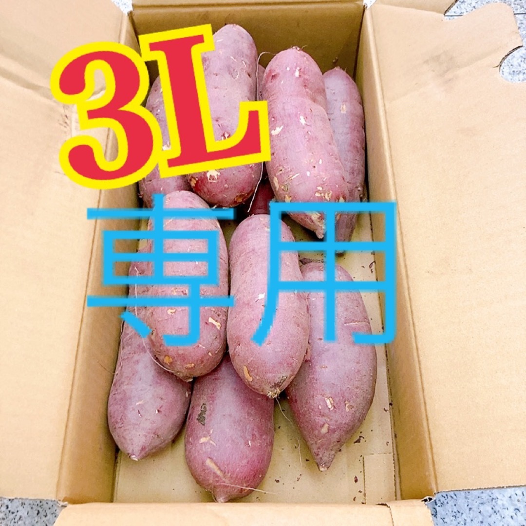 専用　3L 10キロ野菜