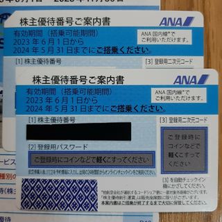 エーエヌエー(ゼンニッポンクウユ)(ANA(全日本空輸))のANA株主優待券　2枚(その他)