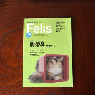 Felis フェーリス 獣医学専門誌 猫の黄疸(専門誌)