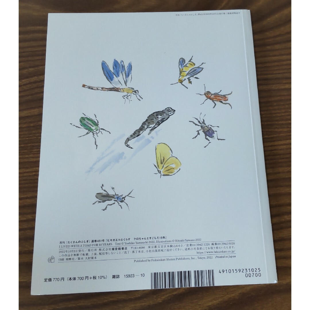 再値下げ★たくさんのふしぎ2022年10月号 ヒキガエルとくらす エンタメ/ホビーの雑誌(絵本/児童書)の商品写真