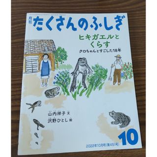 再値下げ★たくさんのふしぎ2022年10月号 ヒキガエルとくらす(絵本/児童書)