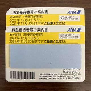 エーエヌエー(ゼンニッポンクウユ)(ANA(全日本空輸))のANA 株主優待券 2枚(その他)