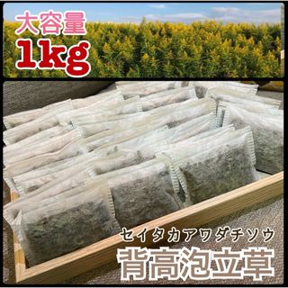 【在庫限り】セイタカアワダチソウ　乾燥　大容量　1kg 100g×10袋　温活(入浴剤/バスソルト)