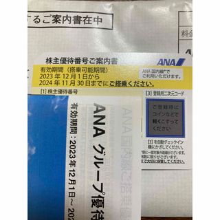 エーエヌエー(ゼンニッポンクウユ)(ANA(全日本空輸))の【匿名配送】ANA株主優待券　1枚(その他)