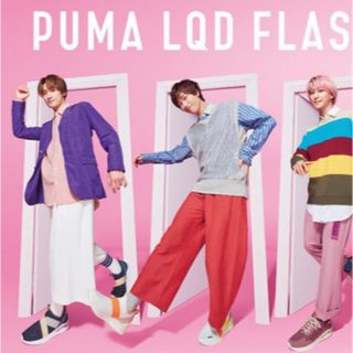 プーマ(PUMA)の【当日発送可】PUMA  フラッシュ スリッポン 25cm(スニーカー)