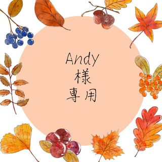 Andy様専用☆(その他)