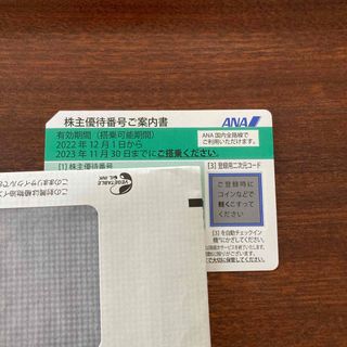 エーエヌエー(ゼンニッポンクウユ)(ANA(全日本空輸))のANA 株主優待(航空券)