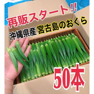 【50本】宮古島産　おくら　オクラ(野菜)