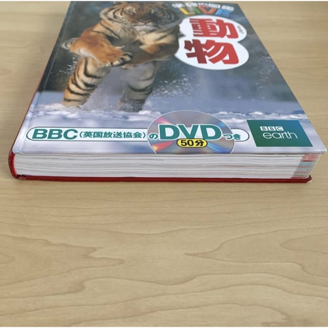 学研の図鑑 LIVE 動物 DVDつき エンタメ/ホビーの本(語学/参考書)の商品写真