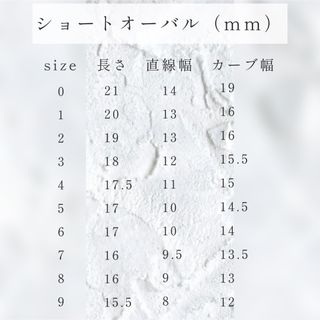 282.雪だるま×クリスマスネイルチップ コスメ/美容のネイル(つけ爪/ネイルチップ)の商品写真